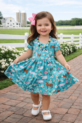 Farmhouse Twirl dress
